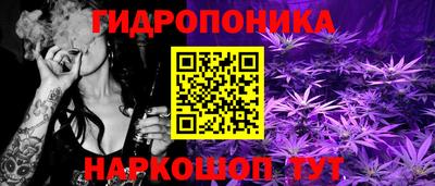 стафф Краснодар