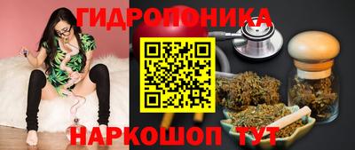 стафф Краснодар