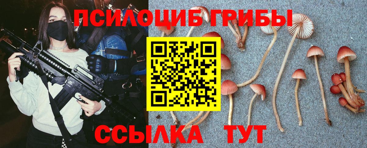 Воркута  Псилоцибиновые грибы Psilocybe  Вход с VPN 